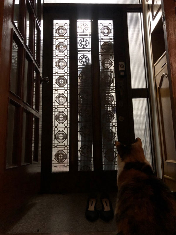 사회가 여성의 안전에 대해 얼마나 신경쓰고 있는지 의문이 든다